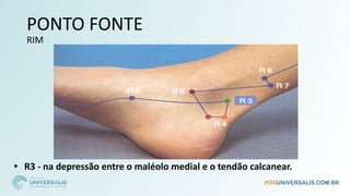 PONTO FONTE
RIM
• R3 - na depressão entre o maléolo medial e o tendão calcanear.
 