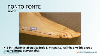 PONTO FONTE
BEXIGA
• B64 - inferior à tuberosidade do 5. metatarso, na linha divisória entre a
carne branca e a vermelha.
 