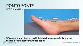 PONTO FONTE
VESÍCULA BILIAR
• VB40 - ventral e distal ao maléolo lateral, na depressão lateral do
tendão do extensor comum dos dedos.
 