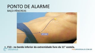 PONTO DE ALARME
BAÇO-PÂNCREAS
• F13 - no bordo inferior da extremidade livre da 11° costela.
 