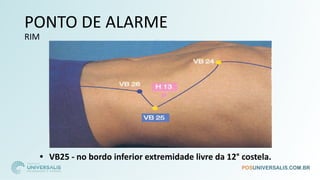 PONTO DE ALARME
RIM
• VB25 - no bordo inferior extremidade livre da 12° costela.
 