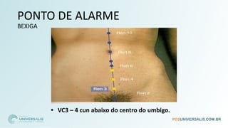 PONTO DE ALARME
BEXIGA
• VC3 – 4 cun abaixo do centro do umbigo.
 