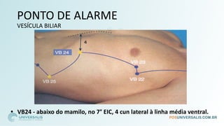 PONTO DE ALARME
VESÍCULA BILIAR
• VB24 - abaixo do mamilo, no 7° EIC, 4 cun lateral à linha média ventral.
 