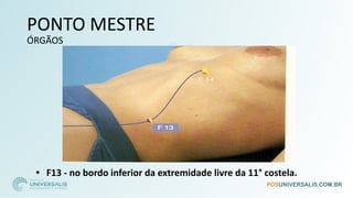 PONTO MESTRE
ÓRGÃOS
• F13 - no bordo inferior da extremidade livre da 11° costela.
 