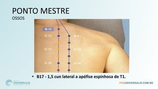 PONTO MESTRE
OSSOS
• B17 - 1,5 cun lateral a apófise espinhosa de T1.
 