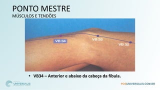 PONTO MESTRE
MÚSCULOS E TENDÕES
• VB34 – Anterior e abaixo da cabeça da fíbula.
 