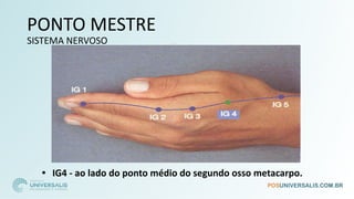 PONTO MESTRE
SISTEMA NERVOSO
• IG4 - ao lado do ponto médio do segundo osso metacarpo.
 