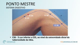 PONTO MESTRE
SISTEMA DIGESTIVO
• E36 - 3 cun inferior a E35, ao nível da extremidade distal da
tuberosidade da tíbia.
 