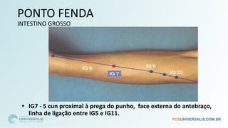 PONTO FENDA
INTESTINO GROSSO
• IG7 - 5 cun proximal à prega do punho, face externa do antebraço,
linha de ligação entre IG5 e IG11.
 