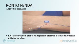 PONTO FENDA
INTESTINO DELGADO
• ID6 - antebraço em prono, na depressão proximal e radial do processo
estilóide da ulna.
 