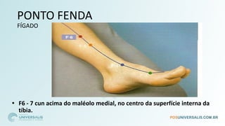 PONTO FENDA
FÍGADO
• F6 - 7 cun acima do maléolo medial, no centro da superfície interna da
tíbia.
 