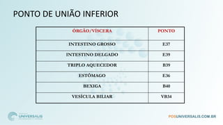 PONTO DE UNIÃO INFERIOR
ÓRGÃO/VÍSCERA PONTO
INTESTINO GROSSO E37
INTESTINO DELGADO E39
TRIPLO AQUECEDOR B39
ESTÔMAGO E36
BEXIGA B40
VESÍCULA BILIAR VB34
 