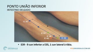 PONTO UNIÃO INFERIOR
INTESTINO DELGADO
• E39 - 9 cun inferior a E35, 1 cun lateral à tíbia.
 