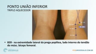 PONTO UNIÃO INFERIOR
TRIPLO AQUECEDOR
• B39 - na extremidade lateral da prega poplítea, lado interno do tendão
do músc. bíceps femoral.
 