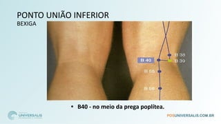 PONTO UNIÃO INFERIOR
BEXIGA
• B40 - no meio da prega poplítea.
 