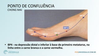 PONTO DE CONFLUÊNCIA
CHONG MAI
• BP4 - na depressão distal e inferior à base do primeiro metatarso, na
linha entre a carne branca e a carne vermelha.
 