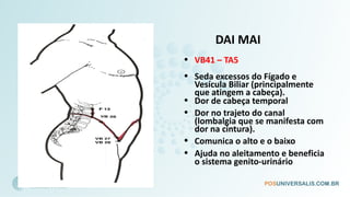 DAI MAI
• VB41 – TA5
• Seda excessos do Fígado e
Vesícula Biliar (principalmente
que atingem a cabeça).
• Dor de cabeça temporal
• Dor no trajeto do canal
(lombalgia que se manifesta com
dor na cintura).
• Comunica o alto e o baixo
• Ajuda no aleitamento e beneficia
o sistema genito-urinário
 