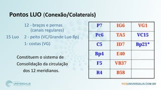Pontos LUO (Conexão/Colaterais)
12 - braços e pernas
(canais regulares)
15 Luo 2 - peito (VC/Grande Luo Bp)
1- costas (VG)
Constituem o sistema de
Consolidação da circulação
dos 12 meridianos.
P7 IG6 VG1
Pc6 TA5 VC15
C5 ID7 Bp21*
Bp4 E40
F5 VB37
R4 B58
 