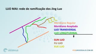 LUO MAI: rede de ramificação dos Jing Luo
Meridiano Regular
Meridiano Acoplado
LUO TRANSVERSAL
LUO LONGITUDINAL
SUN LUO
FU LUO
XUE LUO
 