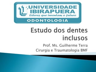 Prof. Ms. Guilherme Terra
Cirurgia e Traumatologia BMF
 