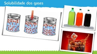 Solubilidade dos gases
 