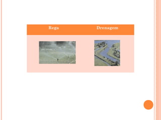 Rega Drenagem
 