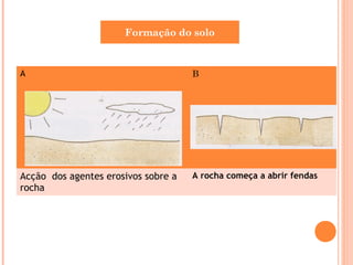 A B
Acção dos agentes erosivos sobre a
rocha
A rocha começa a abrir fendas
Formação do solo
 