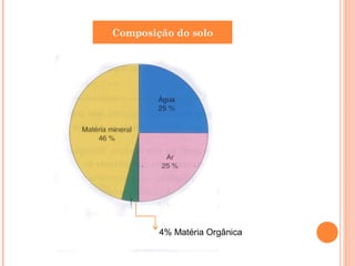 Composição do solo
4% Matéria Orgânica
 