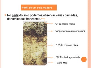  No perfil do solo podemos observar várias camadas,
denominadas horizontes.
Perfil de um solo maduro
“O” ou manta morta
“A” geralmente de cor escura
“ B” de cor mais clara
“C” Rocha fragmentada
Rocha-Mãe
 