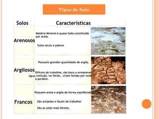 Tipos de Solo
 