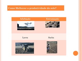 Como Melhorar a produtividade do solo?
Adubação Estrumação
Lavra Sacha
 