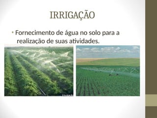 IRRIGAÇÃO
• Fornecimento de água no solo para a
realização de suas atividades.
 