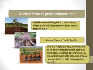 Matéria mineral e orgânica como: raízes,
folhas e animais decompostos formando a
fração sólida.
A água forma a fração líquida.
O solo é formado principalmente por:
O ar é a fração gasosa, a entrada do
ar no solo é facilitada pela ação das
minhocas, tamanho dos minerais, ou
mecanicamente pela ação dos arados
que revolvem o solo promovendo
aeração.
CIÊNC
Tip
(a)
(b)
(c)
 