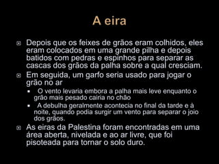  Depois que os feixes de grãos eram colhidos, eles
eram colocados em uma grande pilha e depois
batidos com pedras e espinhos para separar as
cascas dos grãos da palha sobre a qual cresciam.
 Em seguida, um garfo seria usado para jogar o
grão no ar
 O vento levaria embora a palha mais leve enquanto o
grão mais pesado cairia no chão
 A debulha geralmente acontecia no final da tarde e à
noite, quando podia surgir um vento para separar o joio
dos grãos.
 As eiras da Palestina foram encontradas em uma
área aberta, nivelada e ao ar livre, que foi
pisoteada para tornar o solo duro.
 