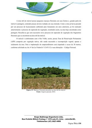 _______________________________________________________________ 
Grupo Babitonga Engenharia Ltda. 
Rua Prefeito Wittch Freitag n° 1370 sala 01, Iririu – Joinville/SC. 
Telefone/fax: (47) 3027-4909 
Página 78 de 150 
A área útil do imóvel possui pequenos maciços florestais em seus limites e, grande parte do imóvel é pastagem, contendo poucas árvores isoladas em sua extensão. Como a área já havia passado por um processo de licenciamento ambiental para loteamento em anos anteriores, já foi realizado anteriormente o processo de supressão da vegetação, resultando assim, na área hoje encontrada como pastagem. Ressalta-se que será necessário novo processo de supressão de vegetação dos fragmentos florestais que se encontram na área útil do imóvel. 
O imóvel é confrontante com o Rio Velho, assim, possui Área de Preservação Permanente (APP) composta por vegetação nativa, não sendo necessária a recomposição vegetal, apenas o isolamento da área. Para a implantação do empreendimento será respeitado o recuo de 30 metros, conforme solicitado no Art. 4º da Lei Federal nº 12.651/12 e suas alterações – Código Florestal. 
Figura 35: Maciços Florestais presentes na área útil do imóvel. 
Fonte: Arquivo pessoal, 2014. 
 