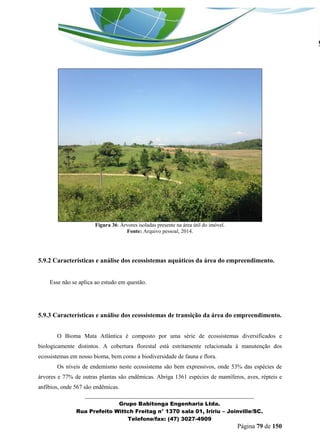 _______________________________________________________________ 
Grupo Babitonga Engenharia Ltda. 
Rua Prefeito Wittch Freitag n° 1370 sala 01, Iririu – Joinville/SC. 
Telefone/fax: (47) 3027-4909 
Página 79 de 150 
Figura 36: Árvores isoladas presente na área útil do imóvel. 
Fonte: Arquivo pessoal, 2014. 
5.9.2 Características e análise dos ecossistemas aquáticos da área do empreendimento. 
Esse não se aplica ao estudo em questão. 
5.9.3 Características e análise dos ecossistemas de transição da área do empreendimento. 
O Bioma Mata Atlântica é composto por uma série de ecossistemas diversificados e biologicamente distintos. A cobertura florestal está estritamente relacionada à manutenção dos ecossistemas em nosso bioma, bem como a biodiversidade de fauna e flora. 
Os níveis de endemismo neste ecossistema são bem expressivos, onde 53% das espécies de árvores e 77% de outras plantas são endêmicas. Abriga 1361 espécies de mamíferos, aves, répteis e anfíbios, onde 567 são endêmicas.  