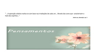 “ ...A operação seletiva realiza-se com base nas irradiações de cada um... Através das cores que caracterizam o
halo dos espíritos...”
André Luiz, Libertação, cap. V
 