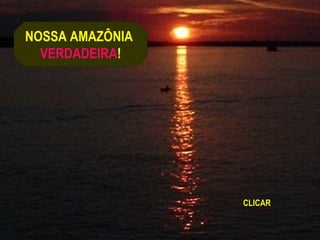 NOSSA AMAZÔNIA
  VERDADEIRA!




                 CLICAR
 