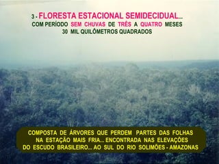 3 - FLORESTA ESTACIONAL SEMIDECIDUAL...
  COM PERÍODO SEM CHUVAS DE TRÊS A QUATRO MESES
           30 MIL QUILÔMETROS QUADRADOS




 COMPOSTA DE ÁRVORES QUE PERDEM PARTES DAS FOLHAS
    NA ESTAÇÃO MAIS FRIA... ENCONTRADA NAS ELEVAÇÕES
DO ESCUDO BRASILEIRO... AO SUL DO RIO SOLIMÕES - AMAZONAS
 