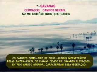 7 - SAVANAS
            CERRADOS... CAMPOS GERAIS...
          148 MIL QUILÔMETROS QUADRADOS




    OS FATORES COMO – TIPO DE SOLO... ALGUNS IMPENETRÁVEIS
PELAS RAÍZES – FALTA DE CHUVAS DEVIDO ÀS GRANDES ELEVAÇÕES...
    ENTRE O MAR E O INTERIOR... CARACTERIZAM ESSA VEGETAÇÃO!
 