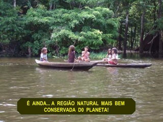 É AINDA... A REGIÃO NATURAL MAIS BEM
      CONSERVADA D0 PLANETA!
 