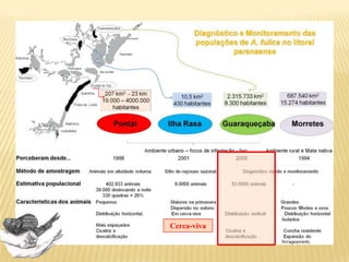 4. Tamanho da concha
Alguns autores relacionam essa característica com a
idade aproximada dos animais.
 