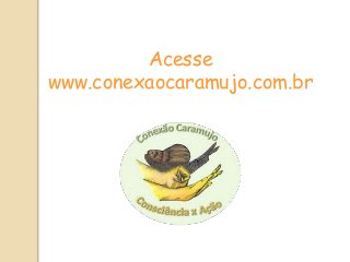 Fauna Associada
Megalobulimus
Latoski e Cristo (em preparação)
Há registros de morte do
caramujo nativo quando em
convivência em mesmo
terrário (Laboratório)
Risco de controle
incorreto. Catação
realizada sem
discriminação de
espécies, prejudican
do a fauna nativa.
 