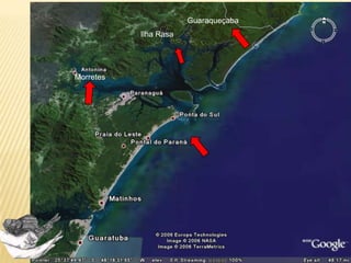 Espécie
generalista
Controle padronizado
inviável
Ação de Controle adaptada à
realidade específica com
base nas características
ecológicas e biológicas
 