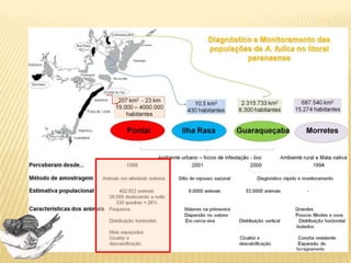 Diagnóstico local
Protocolo
padronizado
Essencial -
comparações
 