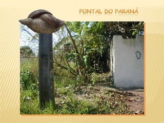 Diagnóstico local
Ações de Controle
População recente ou
antiga?
Declínio espontâneo ?
 