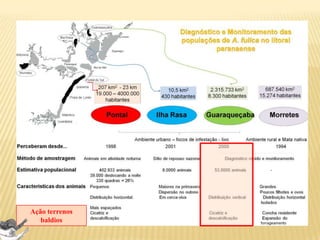 Jovens – 500m – 6 meses
Dispersão
Adultos sedentários
Os indivíduos voltam para área de
origem???
Há migração em massa e ciclo de
migração ???
Essas informações caracterizam o
comportamento e são importantes para
definir o correto manejo e ações
educativas!!!
 
