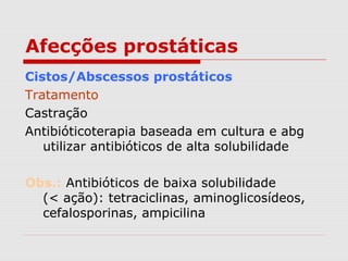 Afecções prostáticas
Cistos/Abscessos prostáticos
Tratamento
Castração
Antibióticoterapia baseada em cultura e abg
utilizar antibióticos de alta solubilidade
Obs.: Antibióticos de baixa solubilidade
(< ação): tetraciclinas, aminoglicosídeos,
cefalosporinas, ampicilina
 