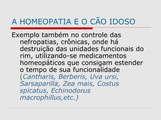 A HOMEOPATIA E O CÃO IDOSO
Exemplo também no controle das
nefropatias, crônicas, onde há
destruição das unidades funcionais do
rim, utilizando-se medicamentos
homeopáticos que consigam estender
o tempo de sua funcionalidade
(Cantharis, Berberis, Uva ursi,
Sarsaparilla, Zea mais, Costus
spicatus, Echinodorus
macrophillus,etc.)
 