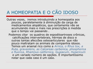 A HOMEOPATIA E O CÃO IDOSO
Outras vezes, iremos introduzindo a homeopatia aos
poucos, paralelamente à diminuição da carga de
medicamentos alopáticos, que certamente vão se
acumulando mais e mais nas prescrições à medida
que o tempo vai passando .
Podemos citar os quadros de espodiloartroses crônicas,
calcificações intervertebrais, hérnias de disco e
outras tantas afeccões osteoarticulares que não
pouco maltratam os animais de companhia idosos.
Temos um arsenal rico como a Arnica, o Rhus tox, a
Ruta, graveolens, as Calcareas carbonica, phosphorica
e fluorica, Rhamnus californica, Guaiacum, Hypericum
e um variado número de opções. Ë importantíssimo
notar que cada caso é um caso.
 